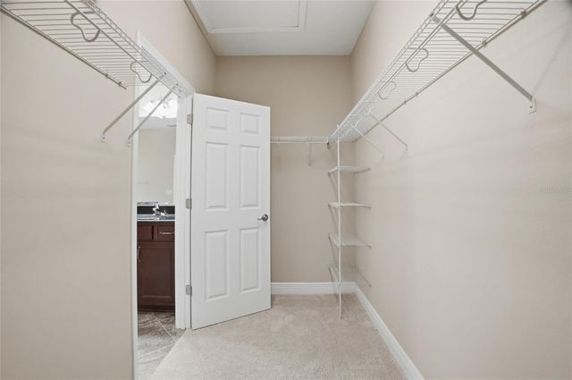 11504 HARLAN EDDY COURT, Riverview, FL 33579