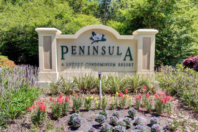 700 Daniel Ellis Drive 6308, Charleston, SC 29412