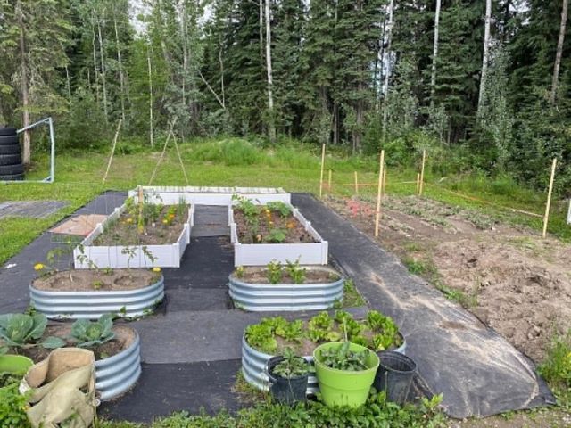 1964 LONG CIRCLE, North Pole, AK 99705