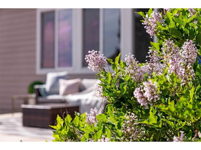 4406 Indigo Dr, Severance, CO 80550