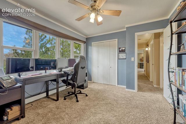 6175 Garlock Way, Colorado Springs, CO 80918