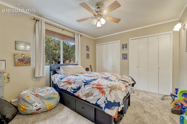 6175 Garlock Way, Colorado Springs, CO 80918