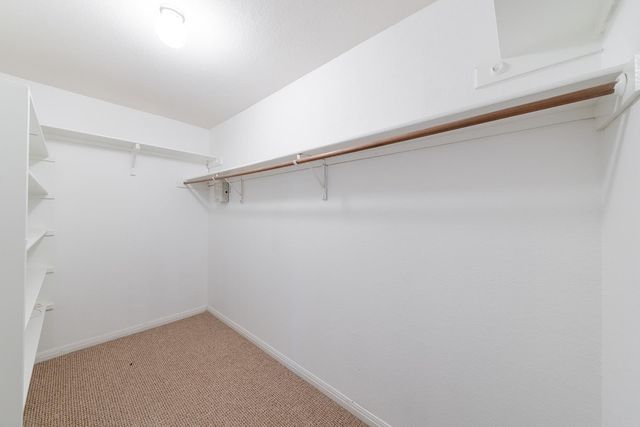 3103 Flameleaf CV, Round Rock, TX 78664