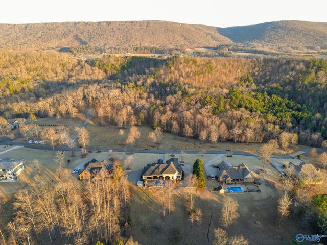 301 County Road 1027, Valley Head, AL 35989