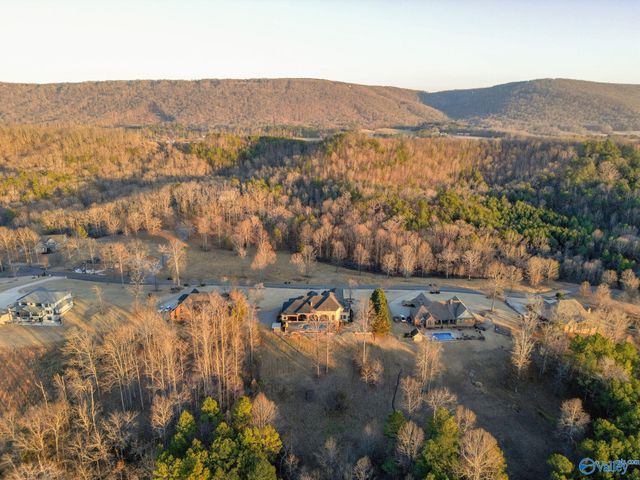 301 County Road 1027, Valley Head, AL 35989