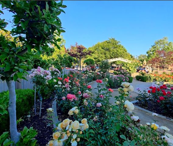 1916 Oak Bluff Way, Sacramento, CA 95833