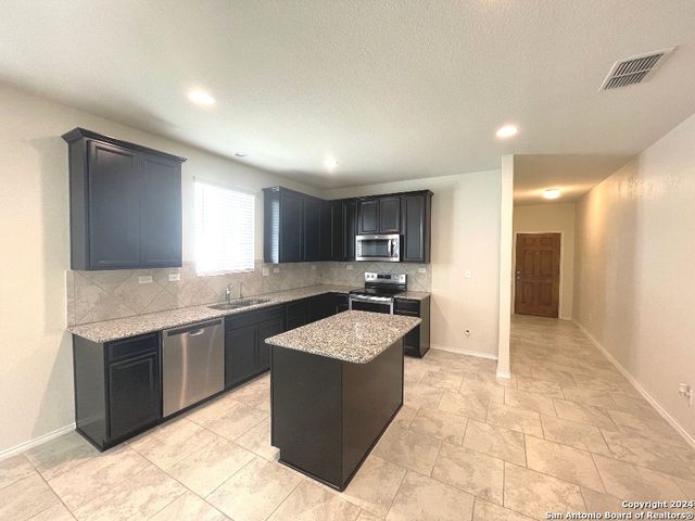 208 TEXAS THISTLE, New Braunfels, TX 78130