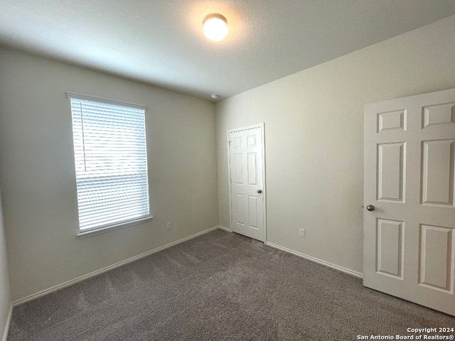 208 TEXAS THISTLE, New Braunfels, TX 78130
