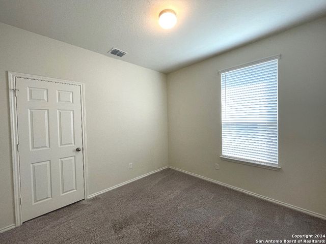 208 TEXAS THISTLE, New Braunfels, TX 78130