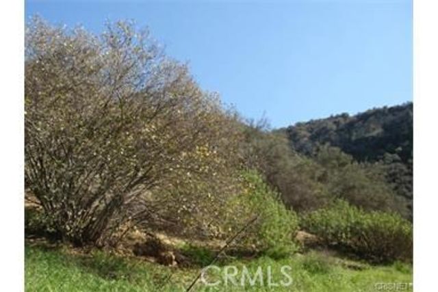 29716 Jackson, Castaic, CA 91384
