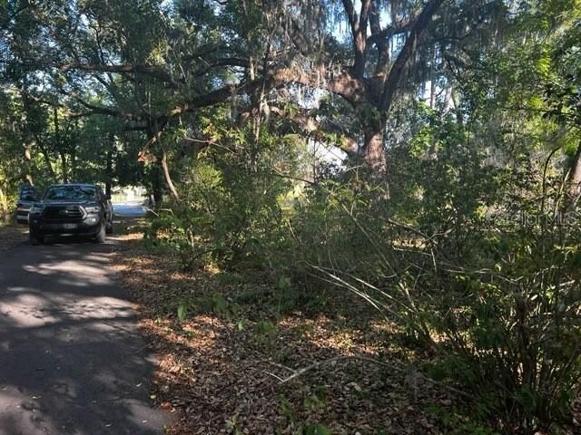 29776 BAYHEAD ROAD, Dade City, FL 33523