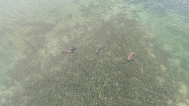 70 SPANIARDS ROAD, Placida, FL 33946