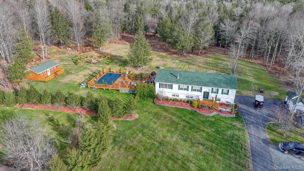 226 Big Woods Road, Harris, NY 12742