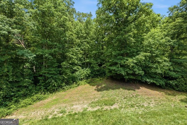 119 Abbington Way, Clarkesville, GA 30523