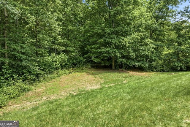 119 Abbington Way, Clarkesville, GA 30523