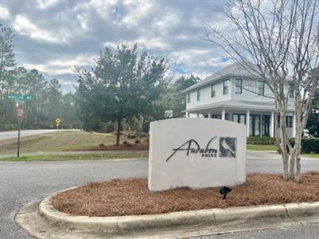 55 Oakley Court, Santa Rosa Beach, FL 32459