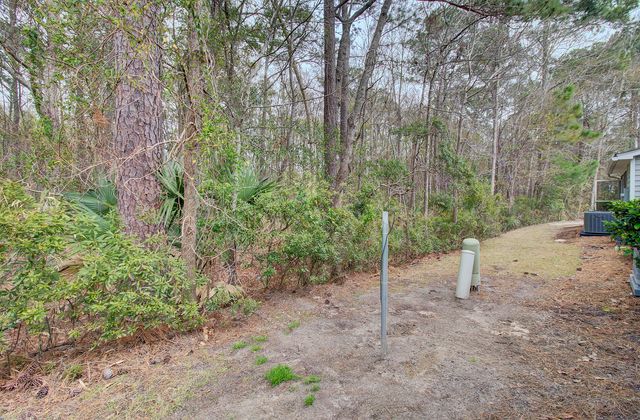1443 Wellbrooke Lane, Mount Pleasant, SC 29466