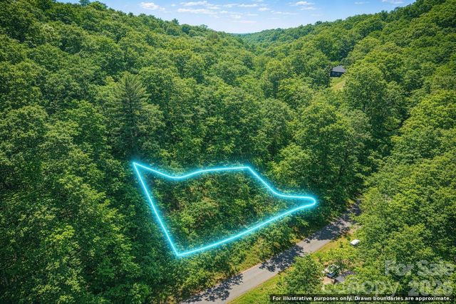 0000 Rogers Cove Road, Waynesville, NC 28785