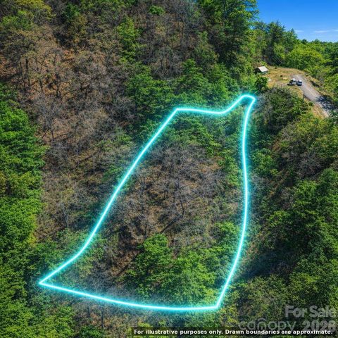 0000 Rogers Cove Road, Waynesville, NC 28785