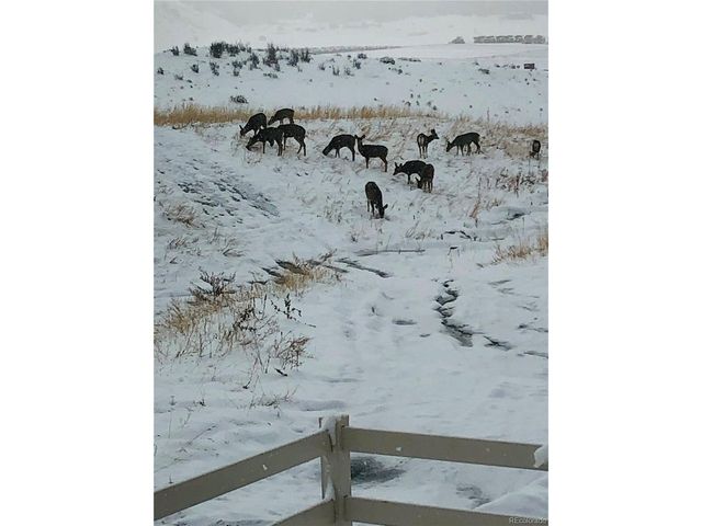 2034 Peralta Loop, Castle Rock, CO 80104