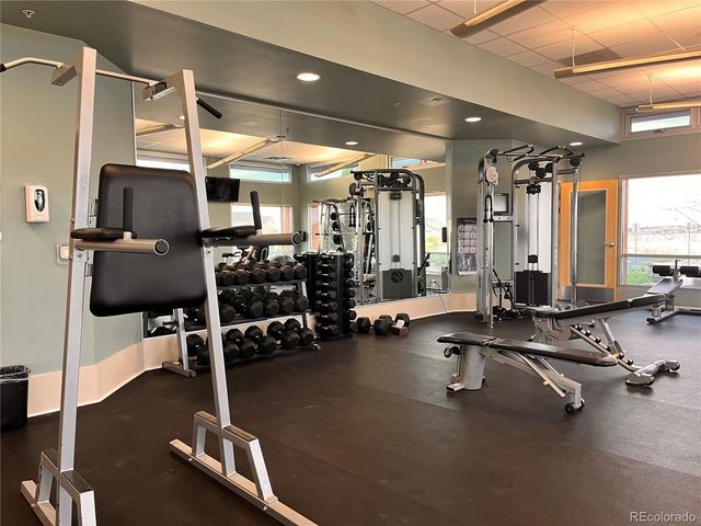 2034 Peralta Loop, Castle Rock, CO 80104