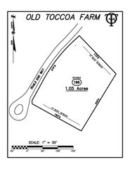 Lot 196 NW Trails End Way, Mineral Bluff, GA 30559
