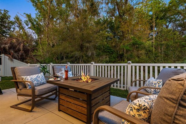 32865 BROOKS HAWK LANE, Wesley Chapel, FL 33543