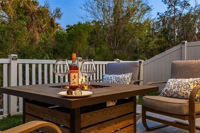 32865 BROOKS HAWK LANE, Wesley Chapel, FL 33543