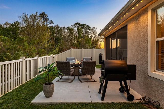 32865 BROOKS HAWK LANE, Wesley Chapel, FL 33543