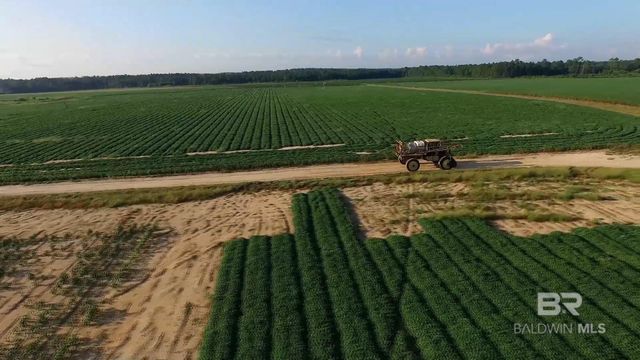 0000 County Road 91, Elberta, AL 36530