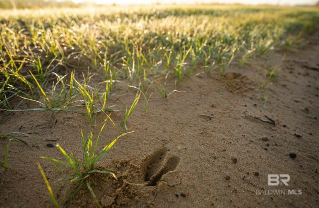 0000 County Road 91, Elberta, AL 36530