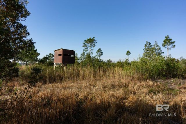 0000 County Road 91, Elberta, AL 36530