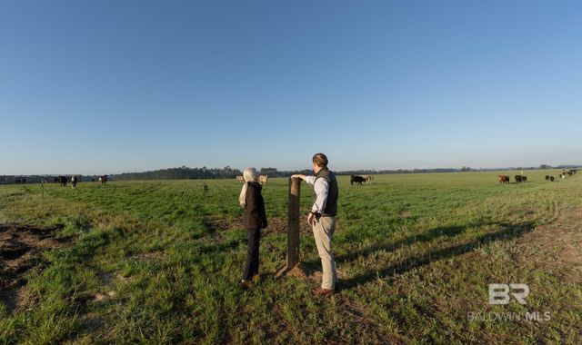 0000 County Road 91, Elberta, AL 36530