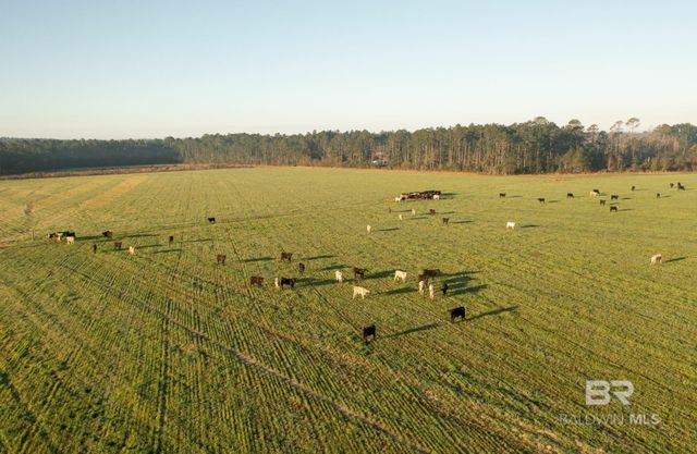 0000 County Road 91, Elberta, AL 36530