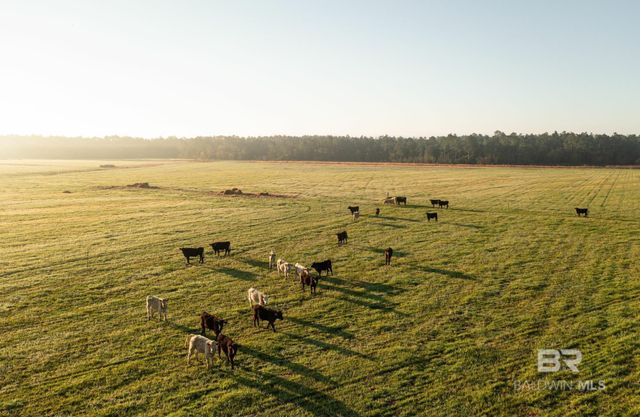 0000 County Road 91, Elberta, AL 36530