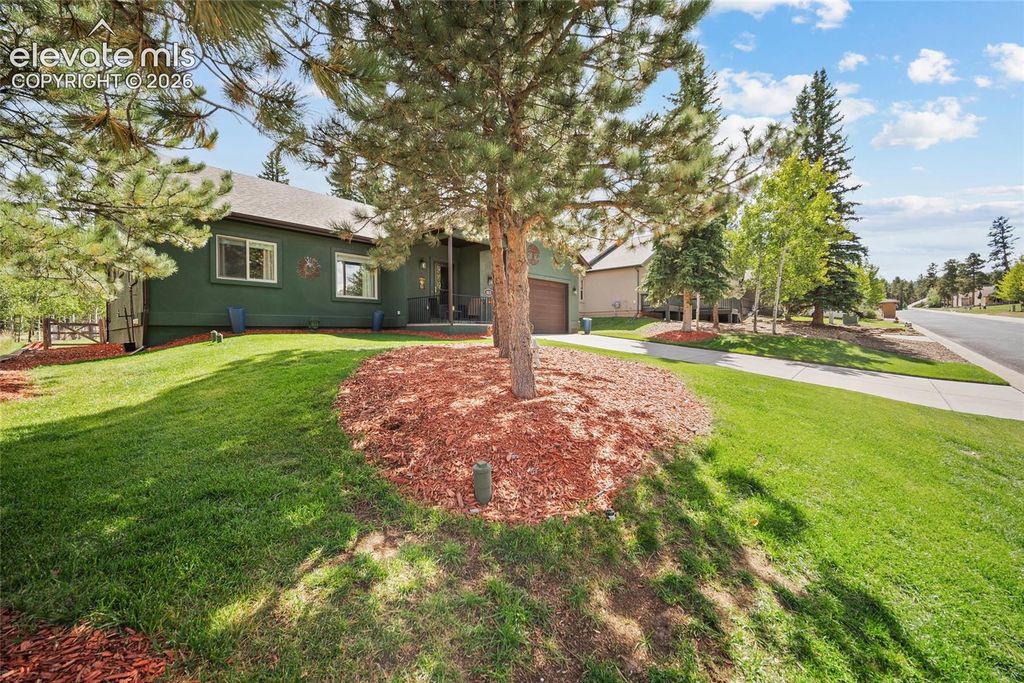 1113 Ptarmigan Drive, Woodland Park, CO 80863 — photo 2