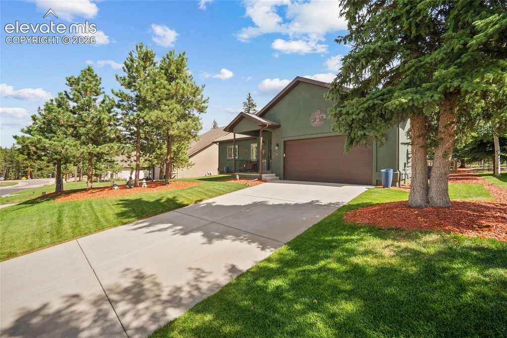 1113 Ptarmigan Drive, Woodland Park, CO 80863 — photo 3