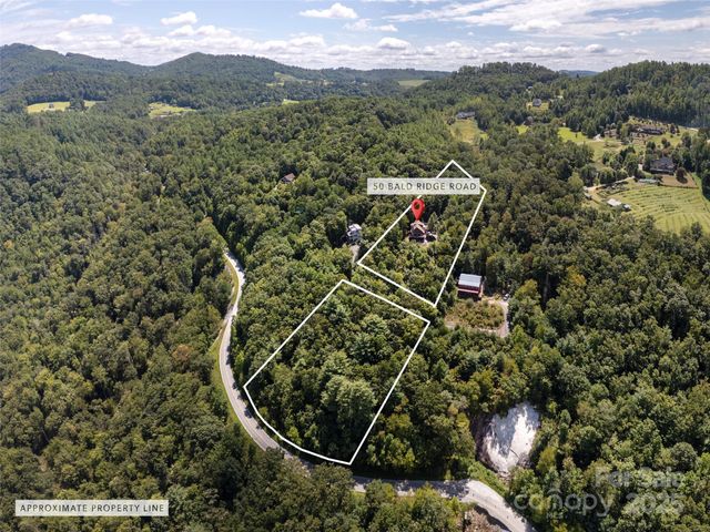 50 Bald Ridge Road, Hendersonville, NC 28792