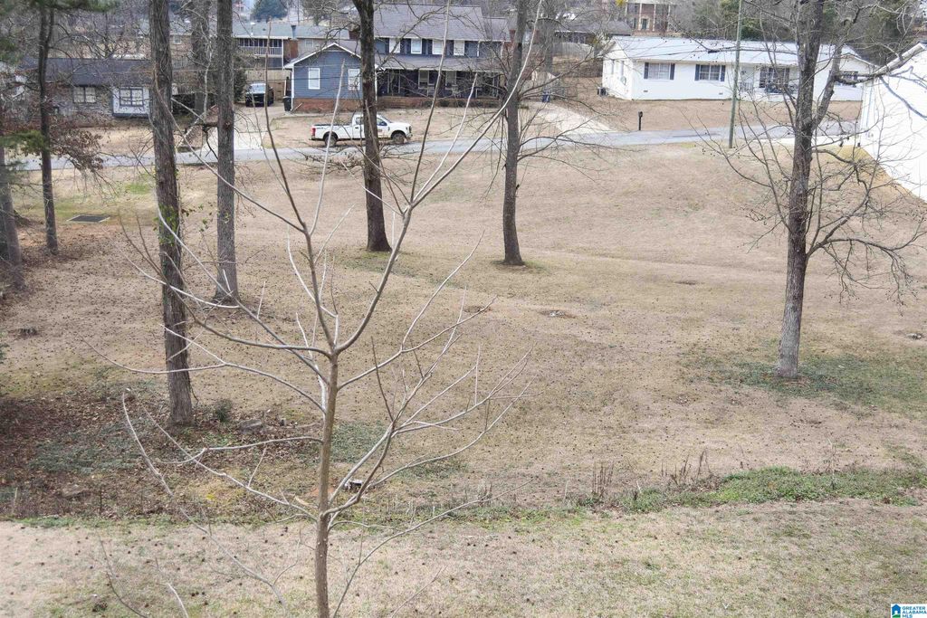 0 SHELLY LYNN DRIVE, Oxford, AL 36203