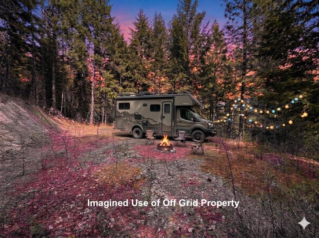 NNA Buck Creek Rd, Loon Lake, WA 99148 photo 2