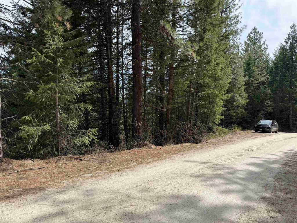 NNA Buck Creek Rd, Loon Lake, WA 99148 photo 13