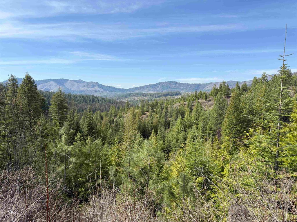 NNA Buck Creek Rd, Loon Lake, WA 99148 photo 14