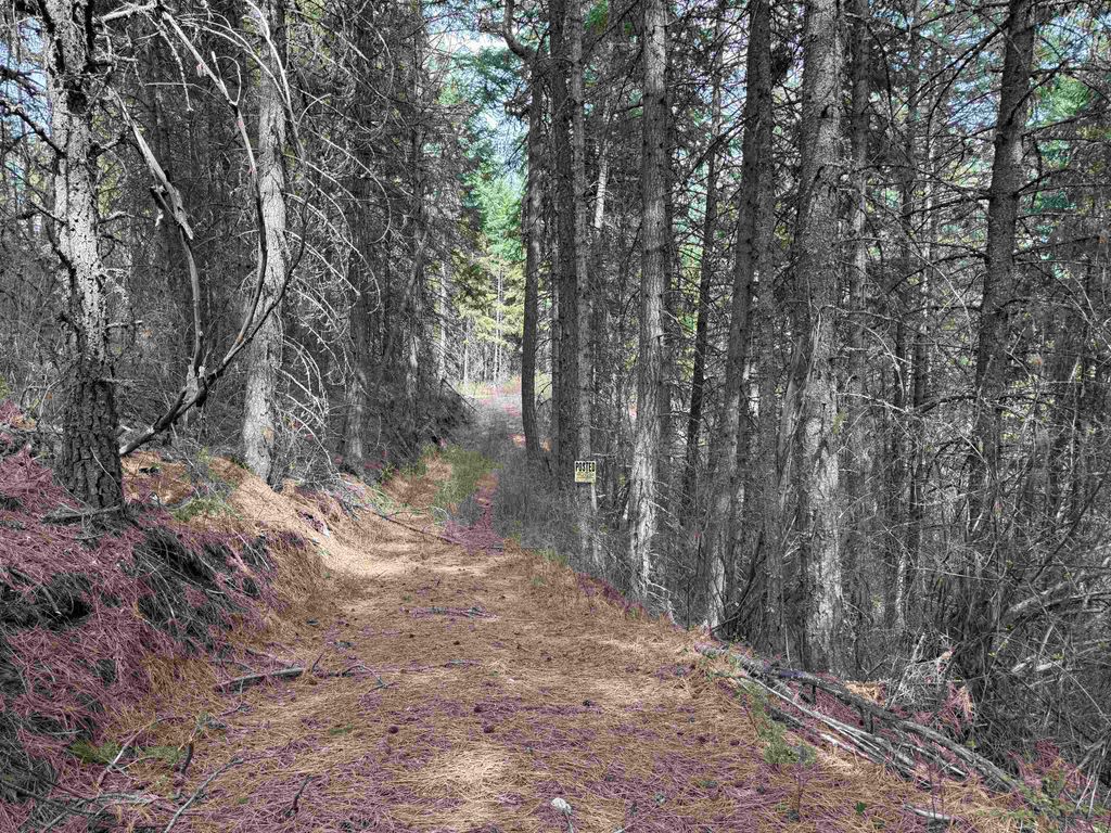 NNA Buck Creek Rd, Loon Lake, WA 99148 photo 15