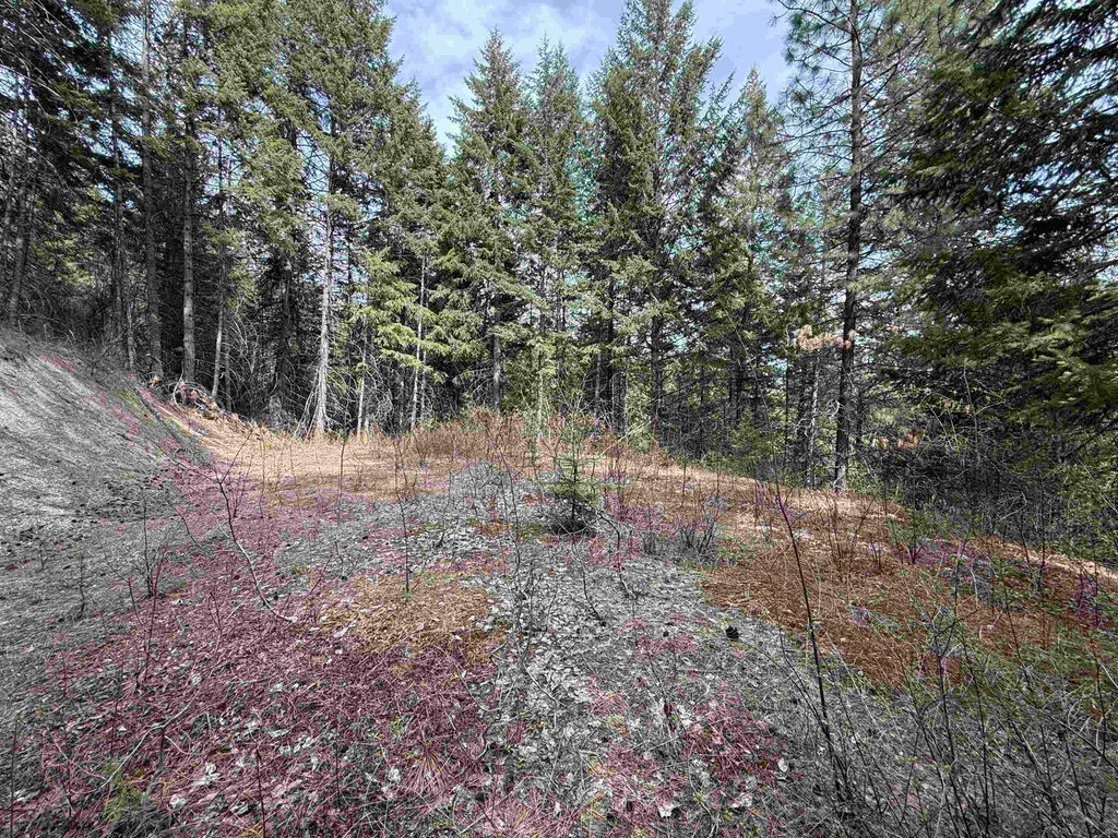 NNA Buck Creek Rd, Loon Lake, WA 99148 photo 16