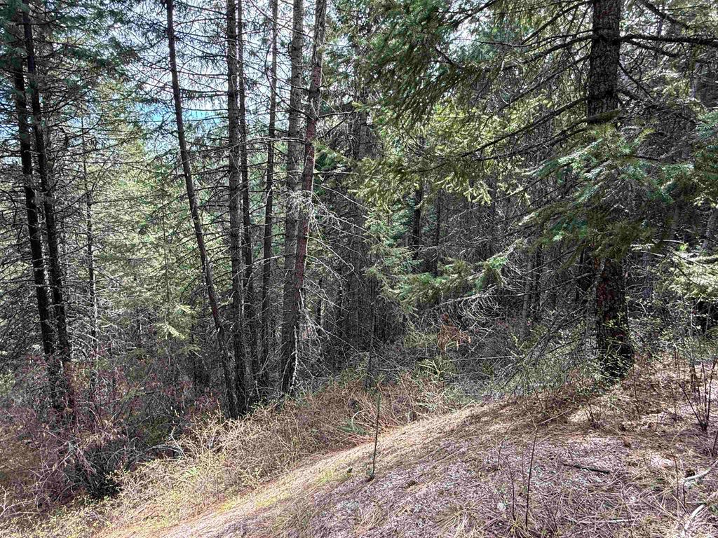 NNA Buck Creek Rd, Loon Lake, WA 99148 photo 17