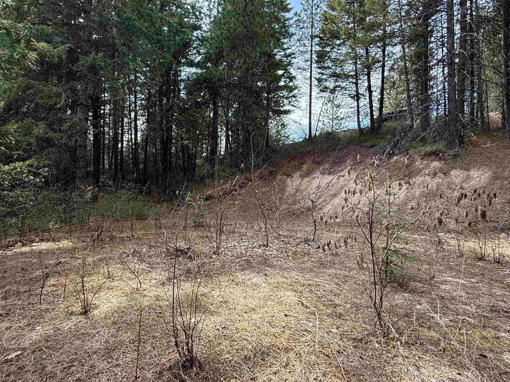 NNA Buck Creek Rd, Loon Lake, WA 99148 photo 18