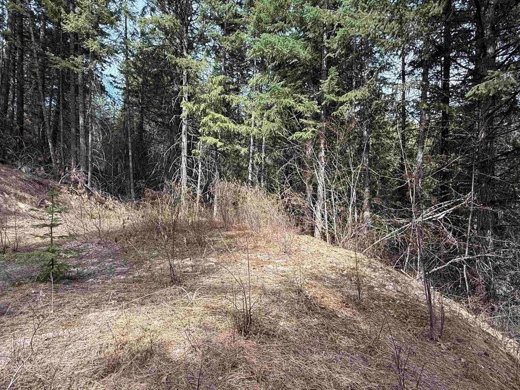 NNA Buck Creek Rd, Loon Lake, WA 99148 photo 19