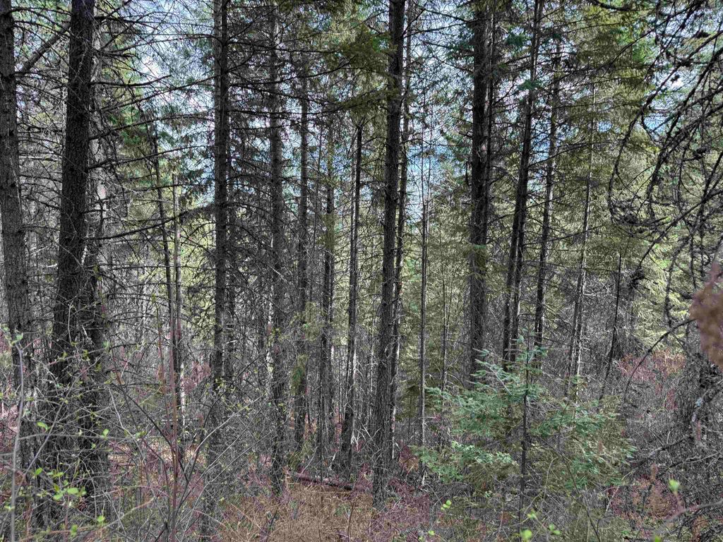 NNA Buck Creek Rd, Loon Lake, WA 99148 photo 20