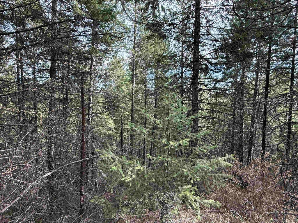 NNA Buck Creek Rd, Loon Lake, WA 99148 photo 21