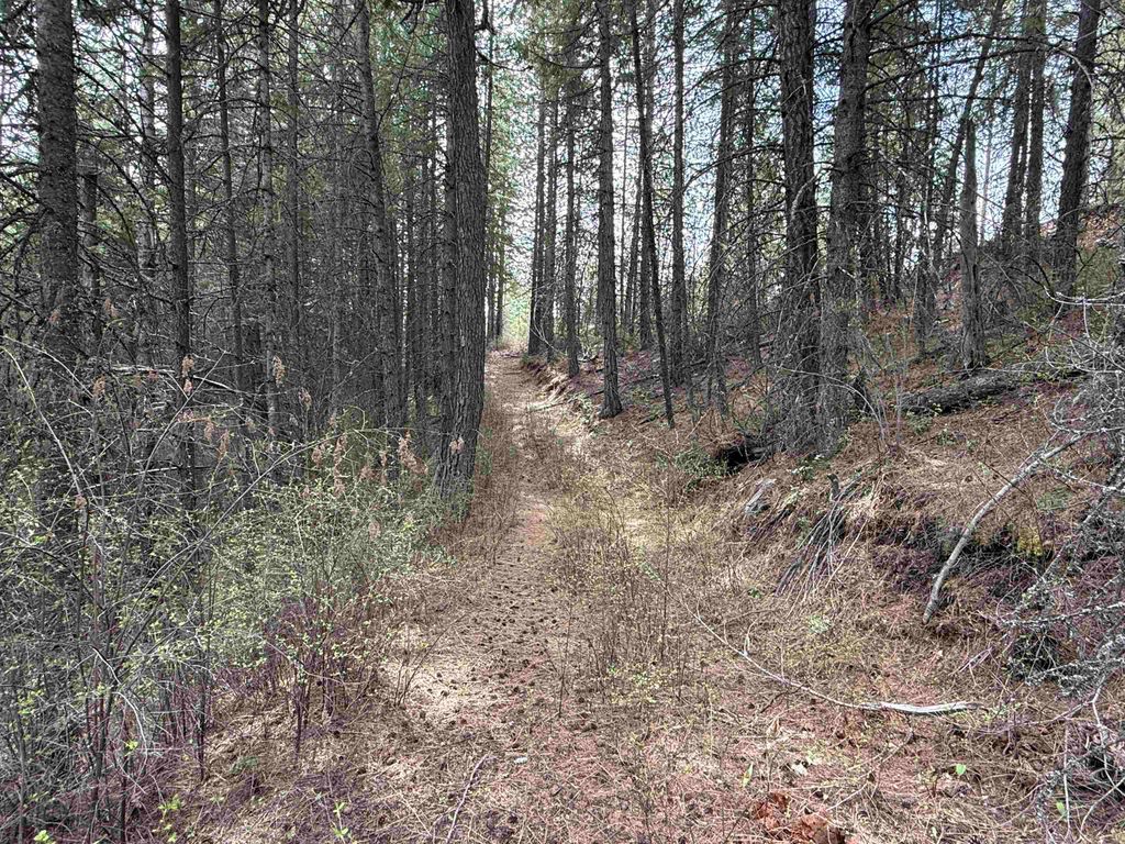 NNA Buck Creek Rd, Loon Lake, WA 99148 photo 22